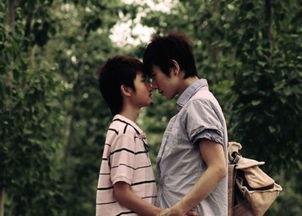 网红夏河推荐的电影